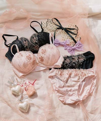 【WEB限定】【プチプラブラセット】エレガントチュールブラジャー＆ショーツセット  【northerly】